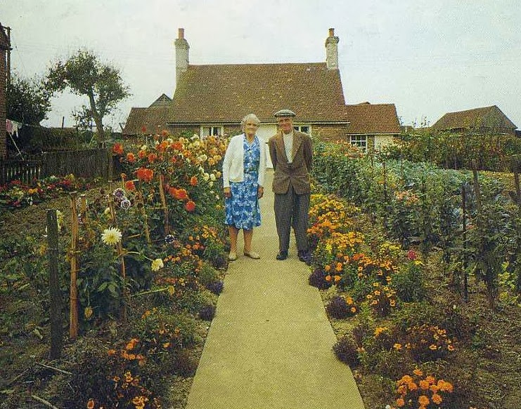 Elderly Couple Takes the Same Photo Every Season. The Last Photo Breaks My Heart.