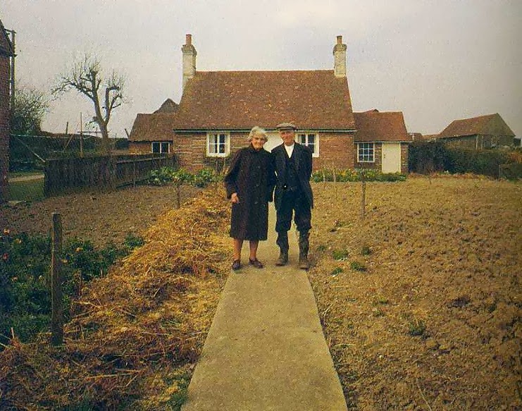 Elderly Couple Takes the Same Photo Every Season. The Last Photo Breaks My Heart.