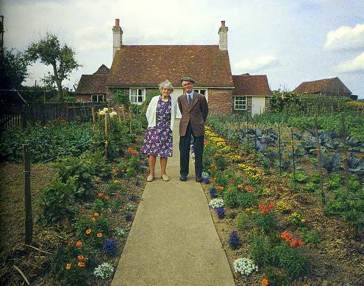 Elderly Couple Takes the Same Photo Every Season. The Last Photo Breaks My Heart.