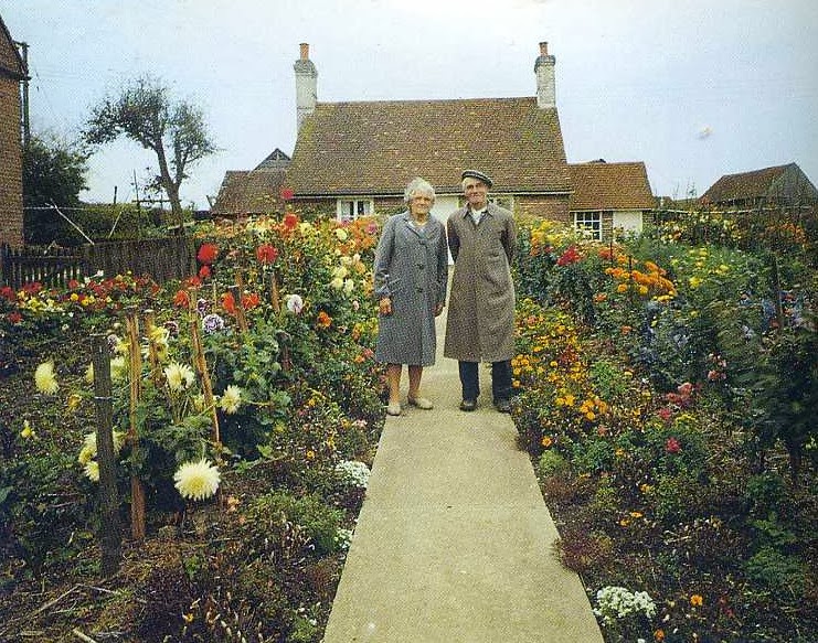 Elderly Couple Takes the Same Photo Every Season. The Last Photo Breaks My Heart.