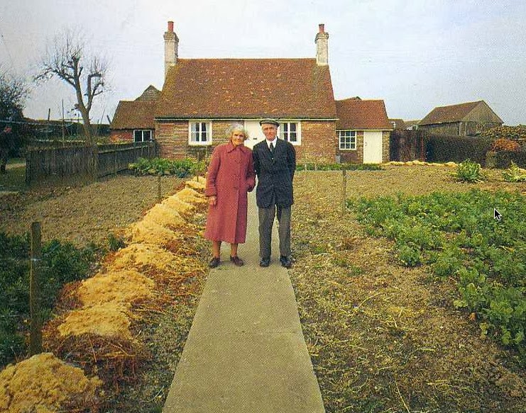 Elderly Couple Takes the Same Photo Every Season. The Last Photo Breaks My Heart.