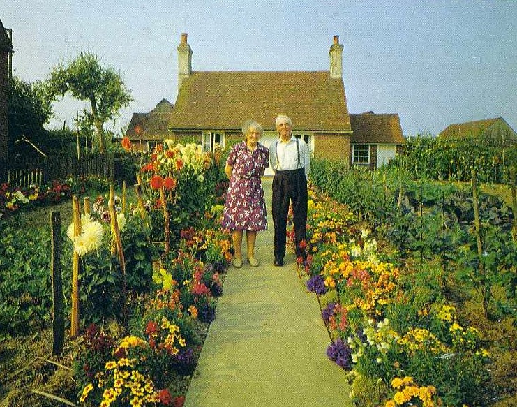 Elderly Couple Takes the Same Photo Every Season. The Last Photo Breaks My Heart.