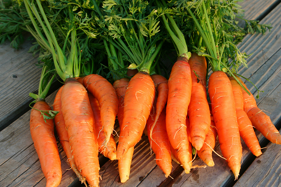 Carrots