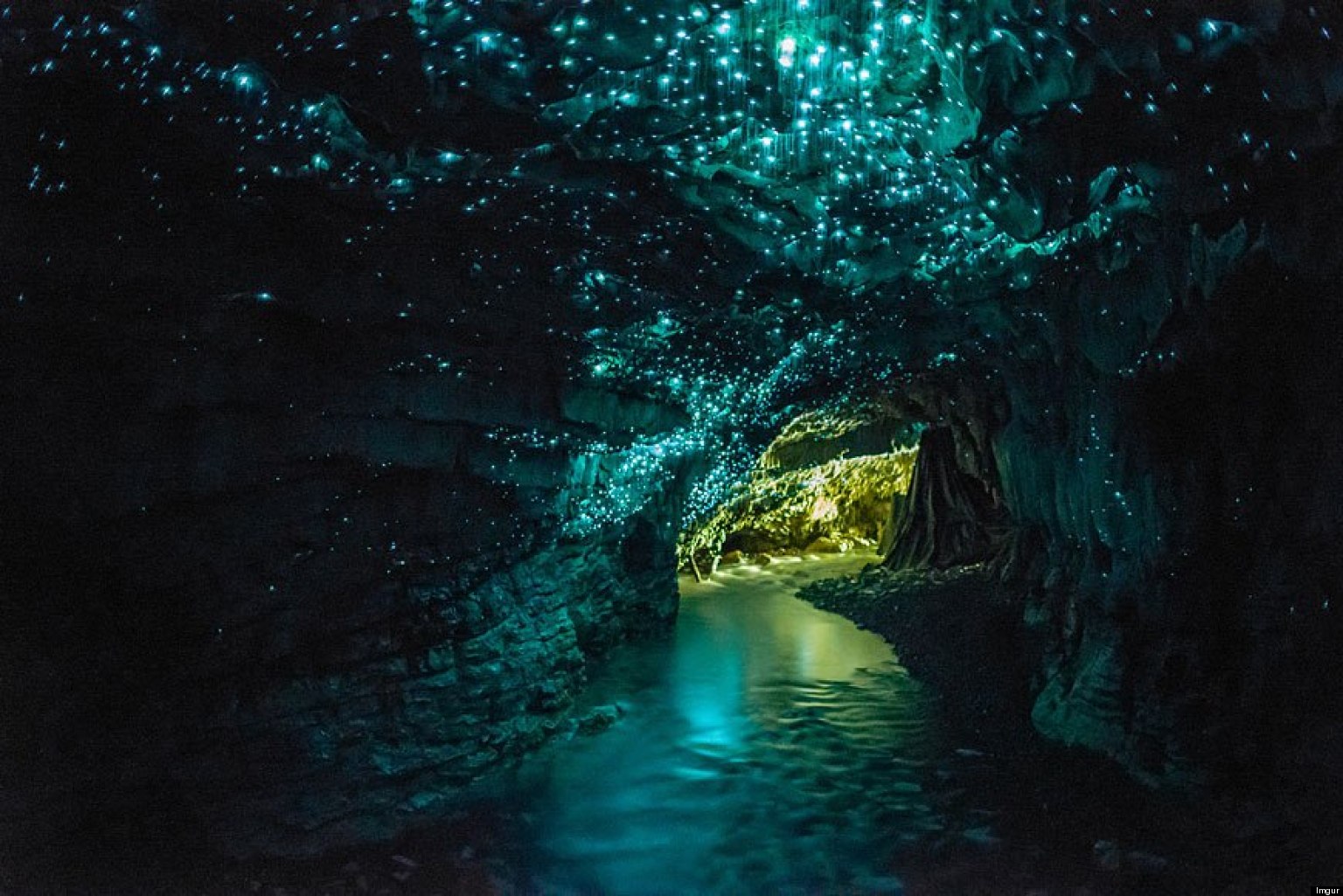 Waitomo Glowworm Caves, New Zealand