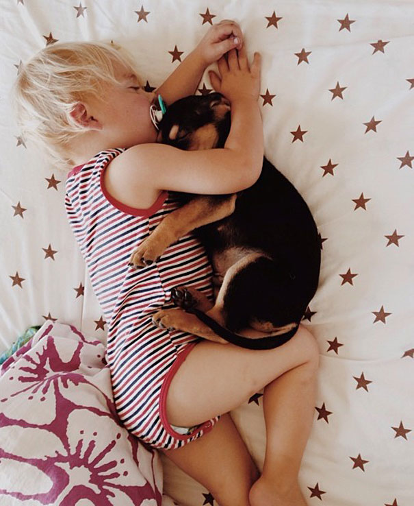 toddler-naps-with-puppy-theo-and-beau-6