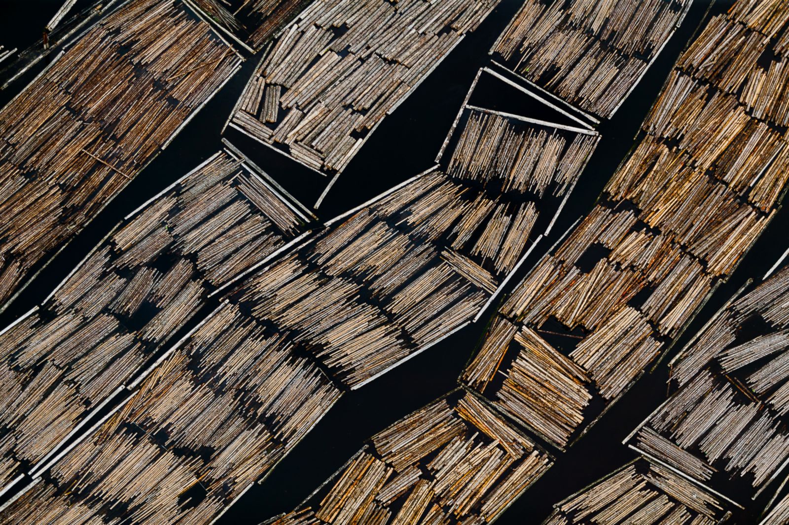 Logging Rafts in Olympia, Washington