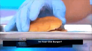 McDonald's burger that lasted 14 years