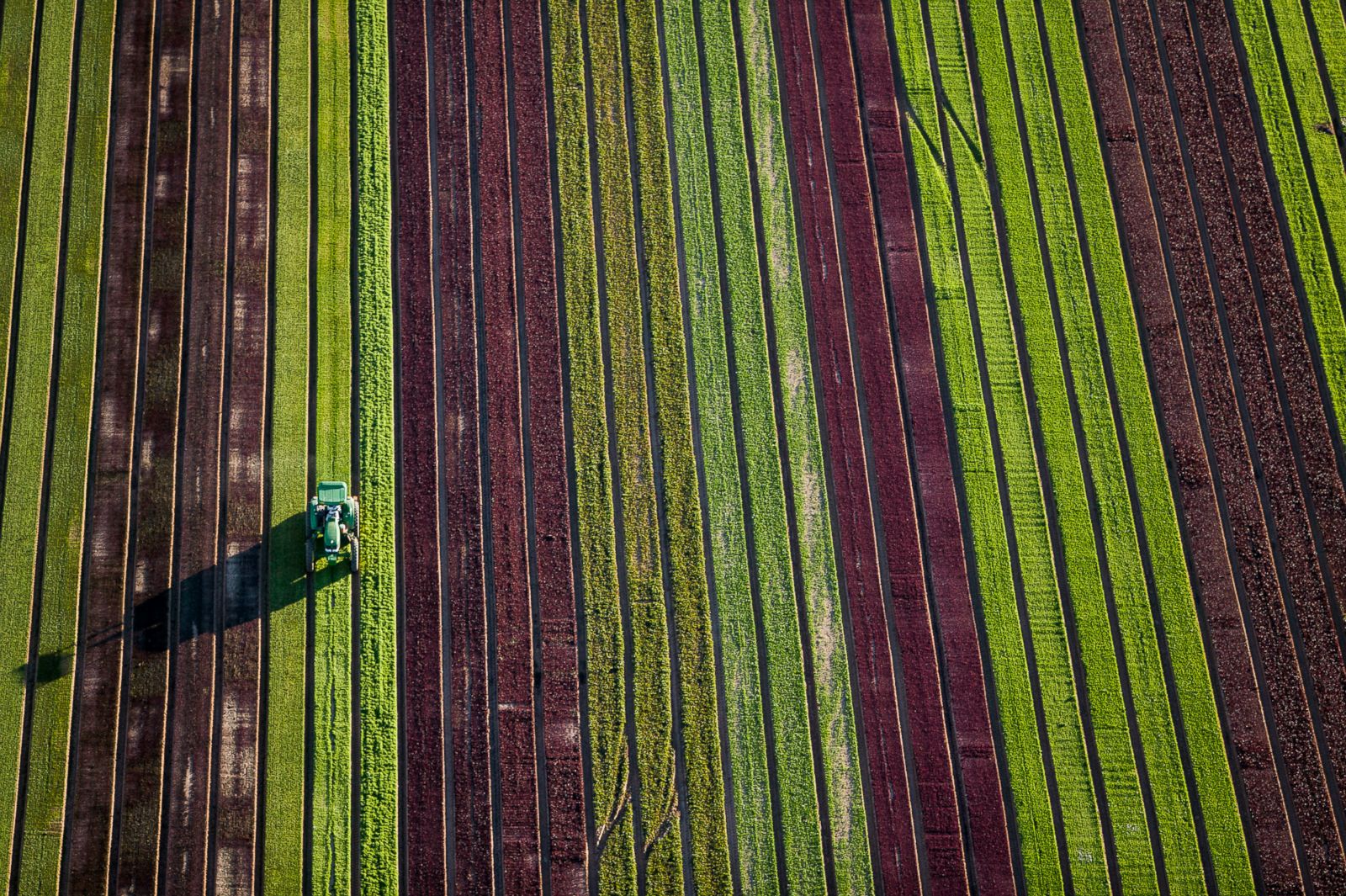 Strips in fields in Goodyear, Arizona