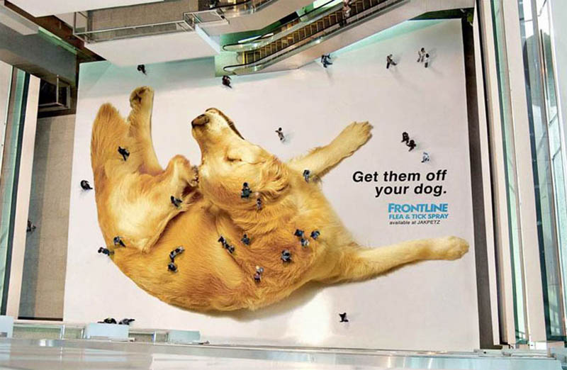 creative-floor-sticker-ad-giant-dog-people-look-like-fleas-ticks-from-above