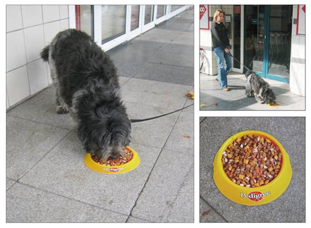 creative-sidewalk-sticker-for-pedigree-dog-food