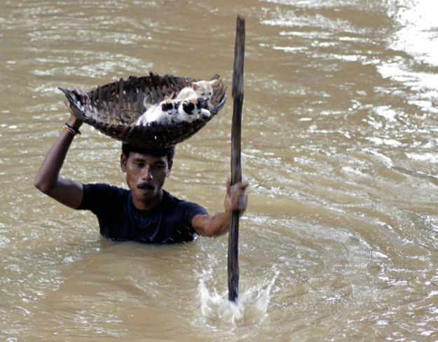 A villager carrying stranded kittens to dry land during floods in Cuttack City, India