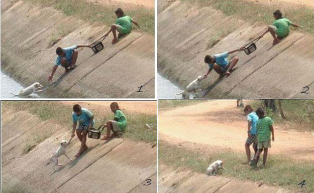 Two children collaborating to rescue a dog who had fallen into a ravine.