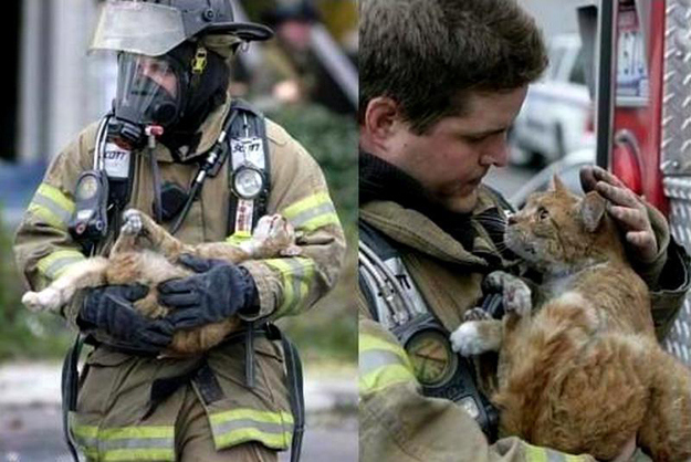 Firefighter administering oxygen to a cat