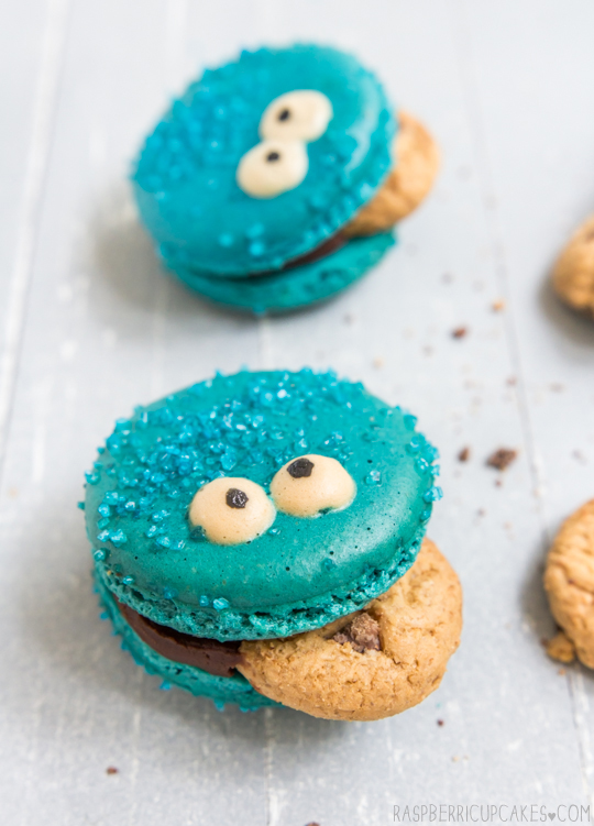 Cookie Monster Macarons