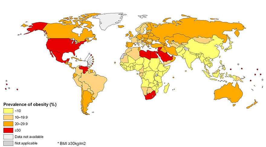 Obesity Around The World