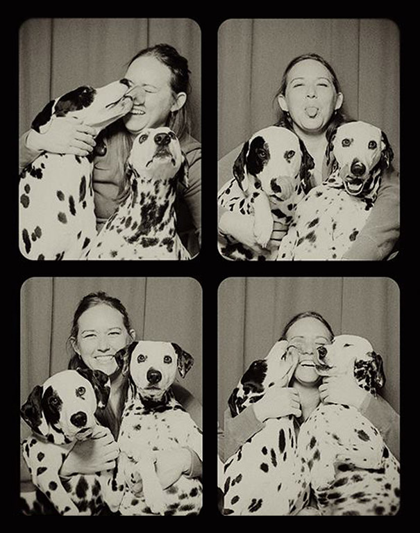 Dogs In A Photo Booth (6)