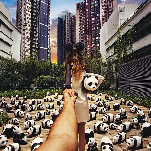 Travel to the 1600 Pandas Exhibition in Hong Kong