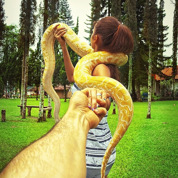 Travel to the snakes of Bali