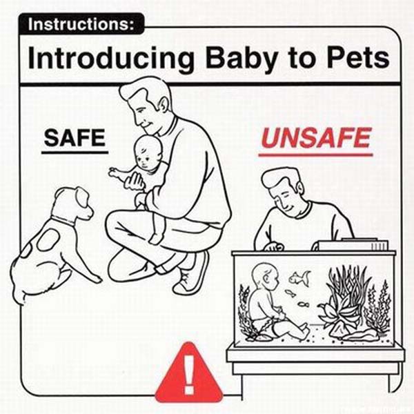 Safe Baby Handling Tips (12)