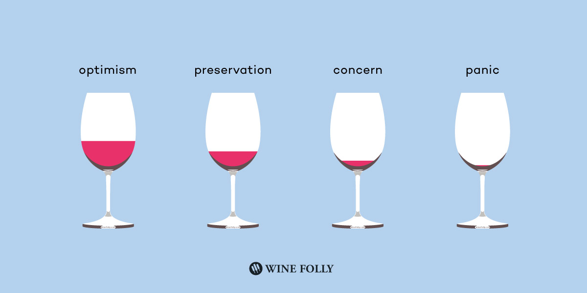 Wine Infographic (5)