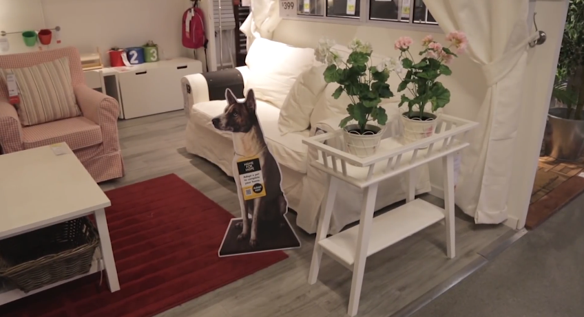IKEA Pet Adoption 5