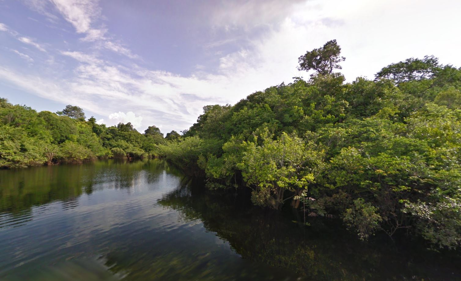 Amazon Rainforest Google Street View