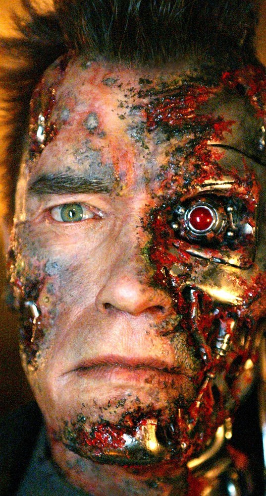 Arnold Schwarzenegger, Terminator 3 Rise of the Machines