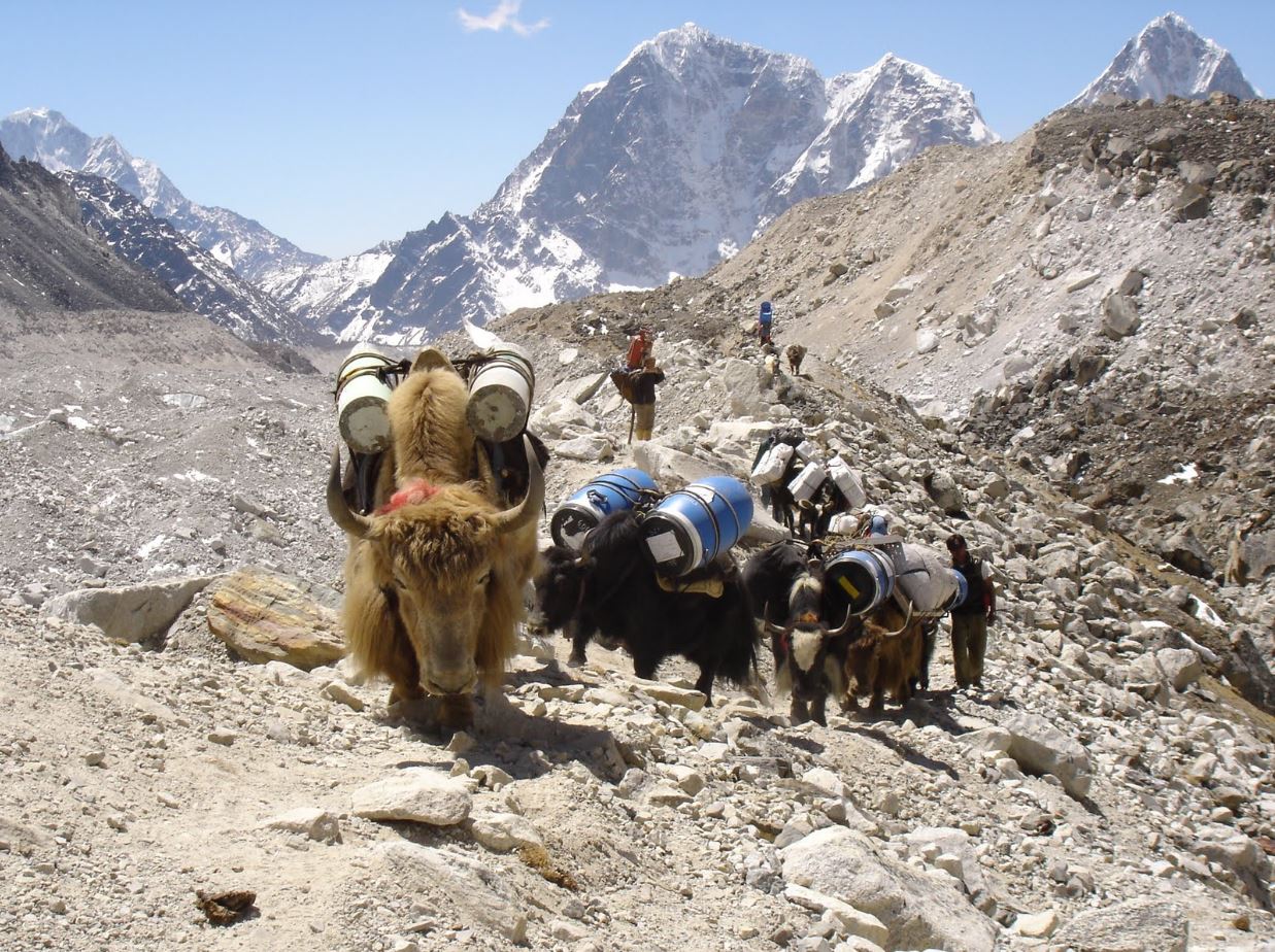 Everest Base Camp Google Street View