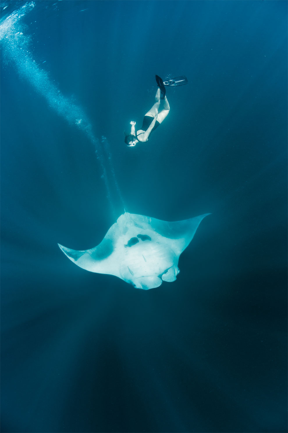 Models Swim and Pose with Whale Sharks (10)