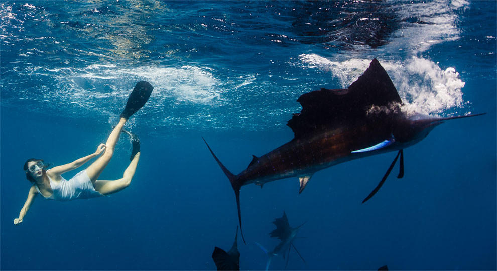 Models Swim and Pose with Whale Sharks (19)