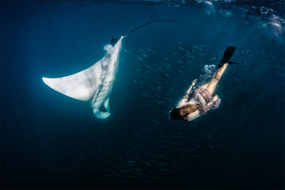 Models Swim and Pose with Whale Sharks (4)