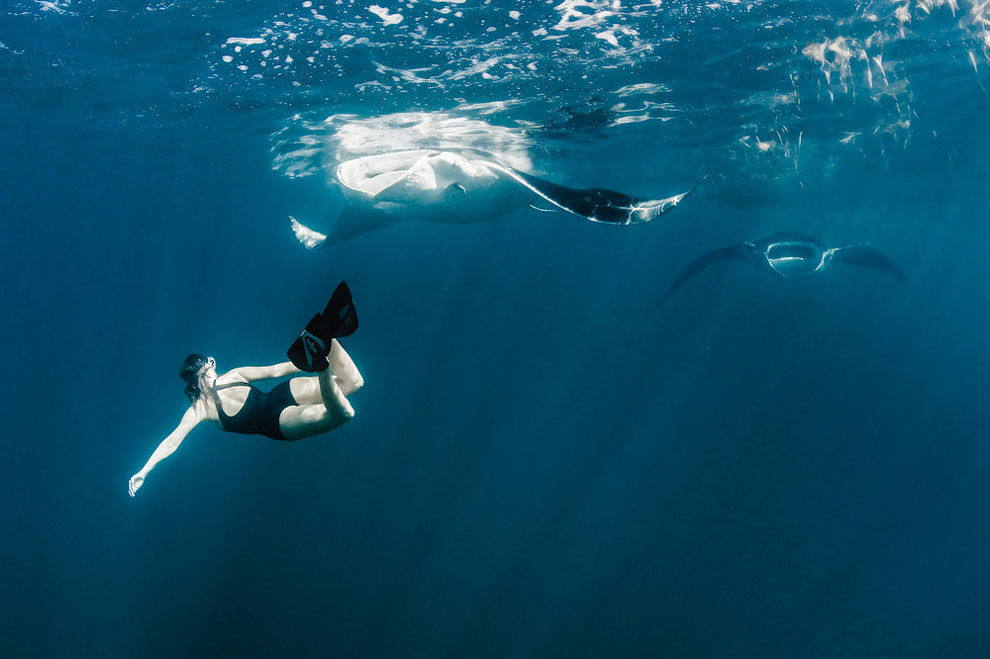 Models Swim and Pose with Whale Sharks (7)