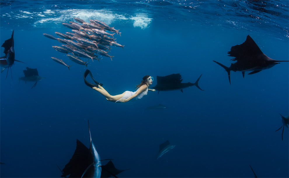 27 Stunning Photos Of Models Swimming And Posing With Whale Sharks In Under...