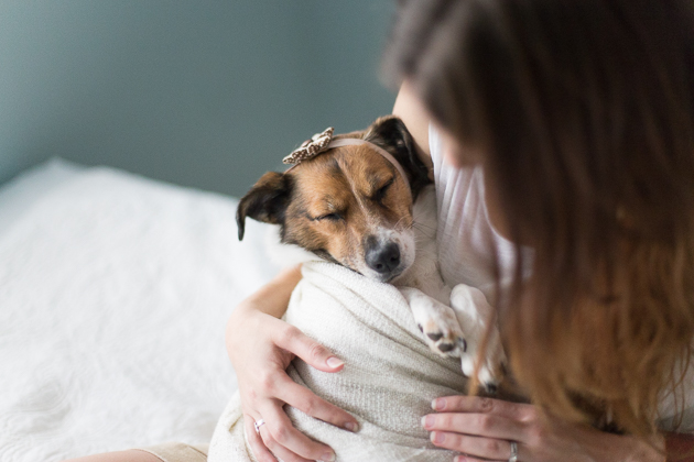 Pet Dog Photoshoot (25)