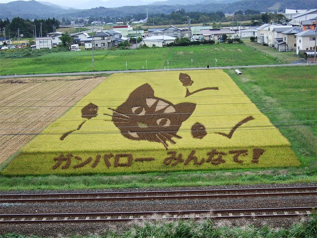 Rice Paddy Art (11)