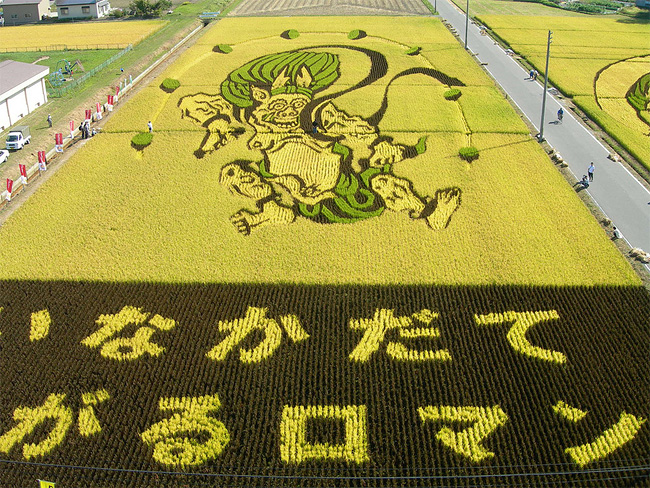 Rice Paddy Art (17)