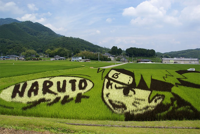 Rice Paddy Art (2)