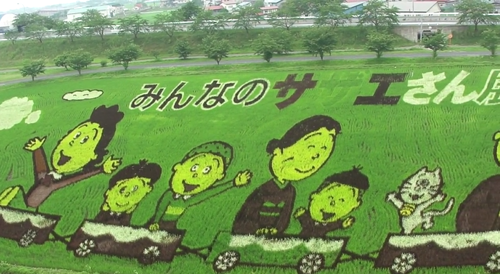 Rice Paddy Art (23)