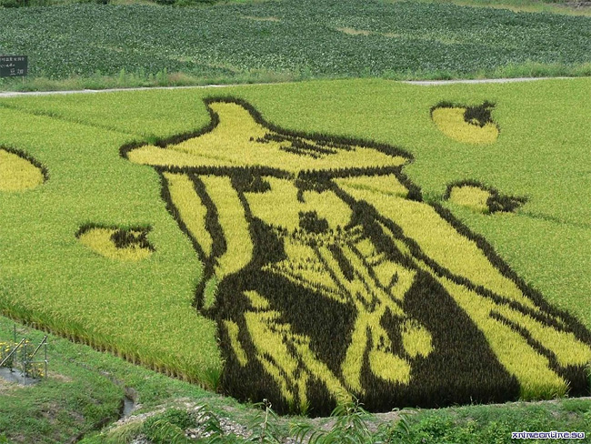 Rice Paddy Art (5)