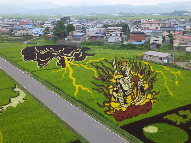 Rice Paddy Art (6)