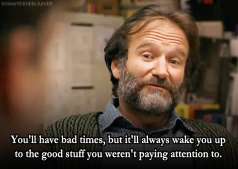 Robin Williams Movie Quote (11)