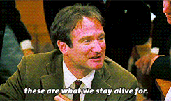 Robin Williams Movie Quote (20)