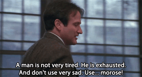 Robin Williams Movie Quote (27)