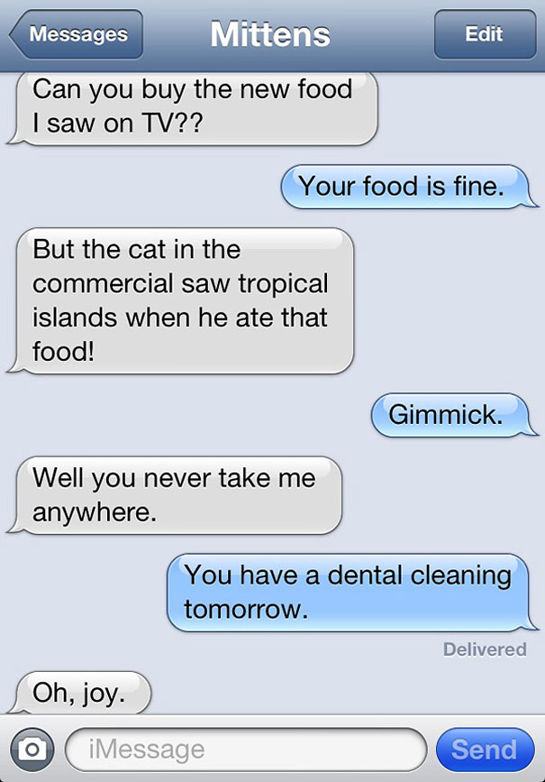Text From Cat (1)