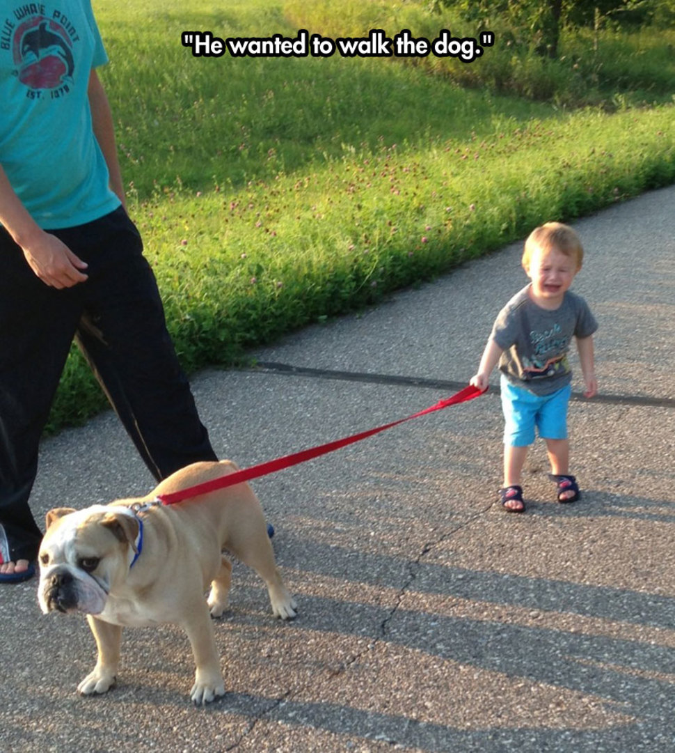 Ребенок выгуливает собаку