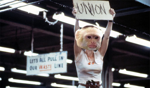 Monkey Union