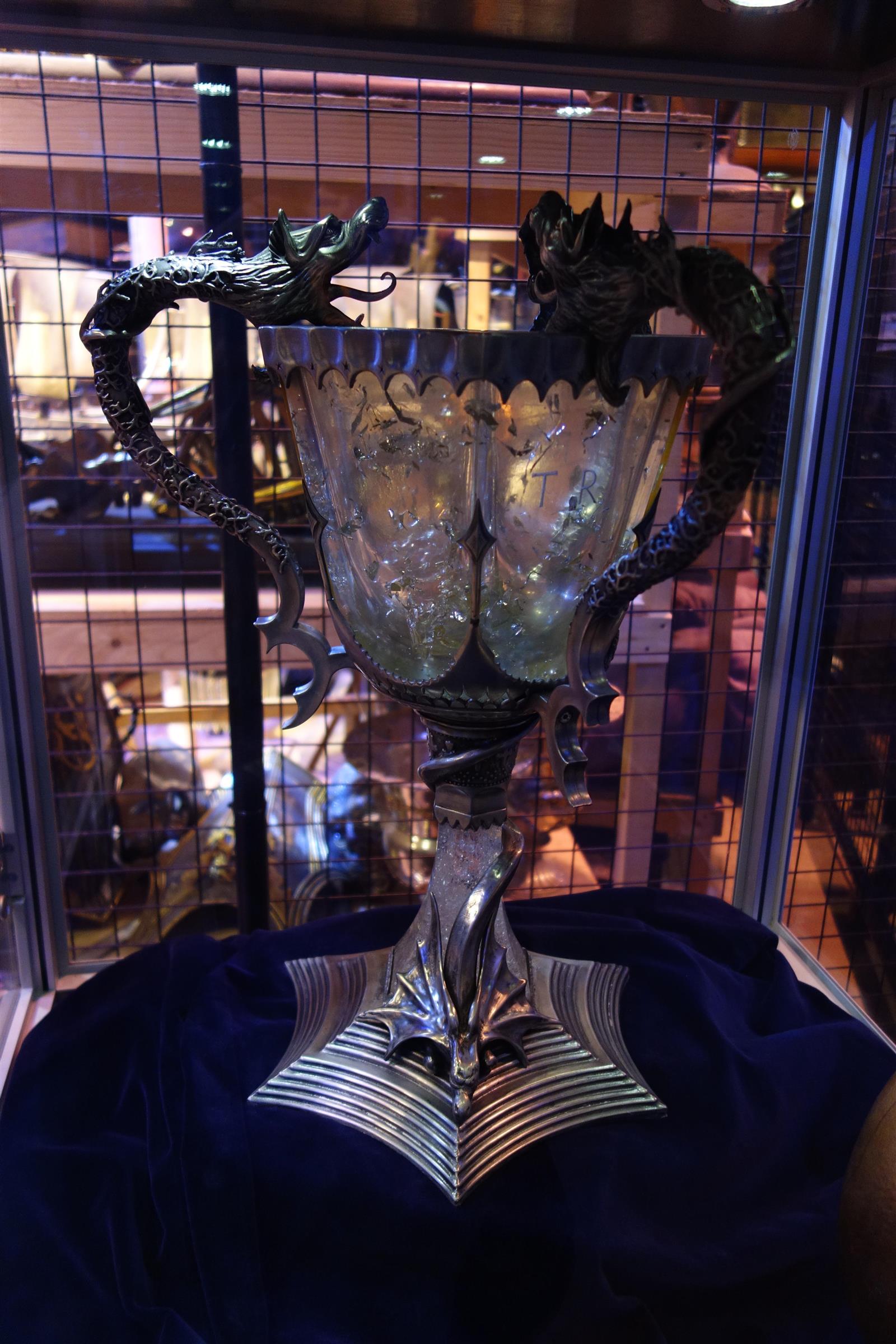 17. Triwizard Cup