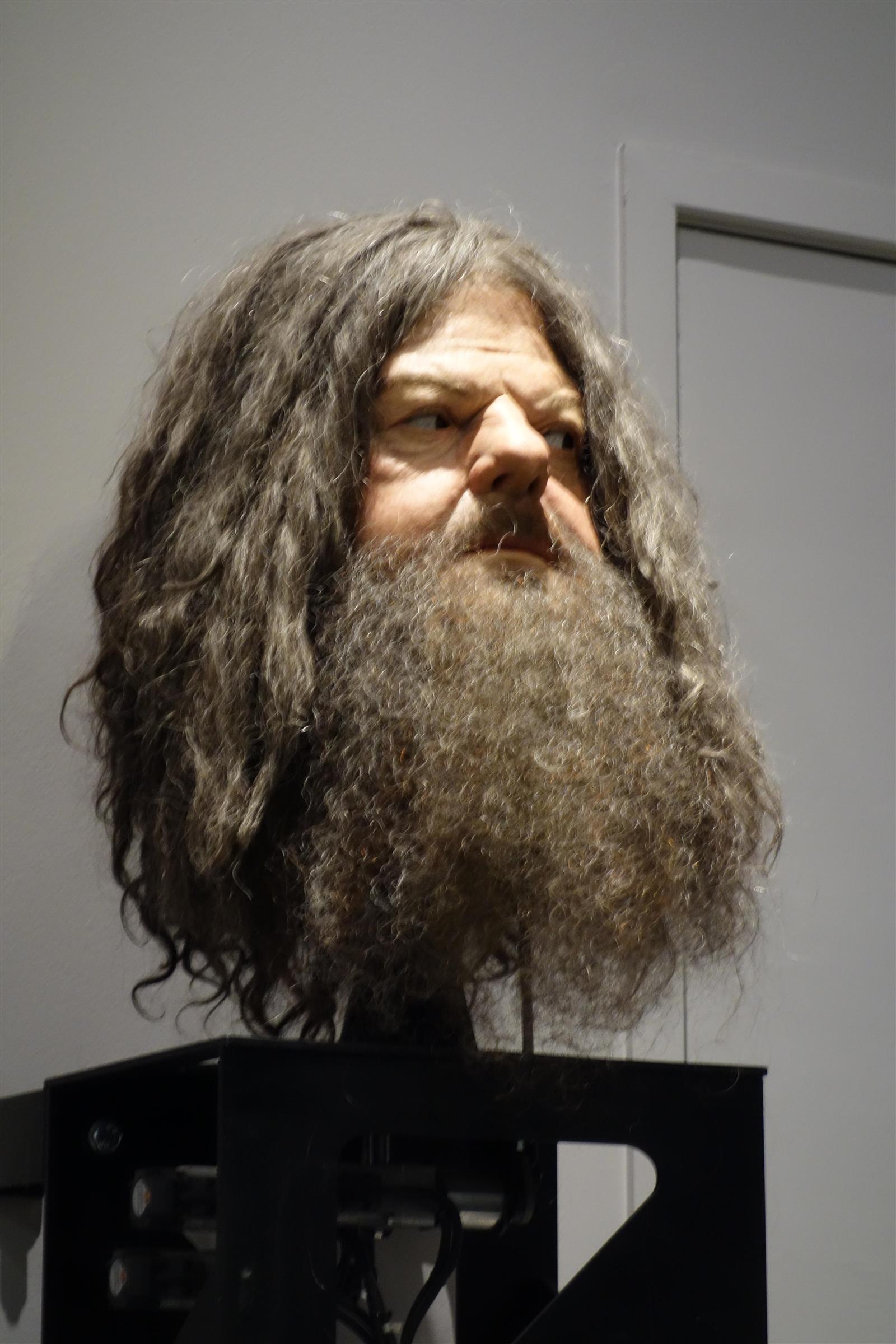 69. Animatronic Hagrid Head