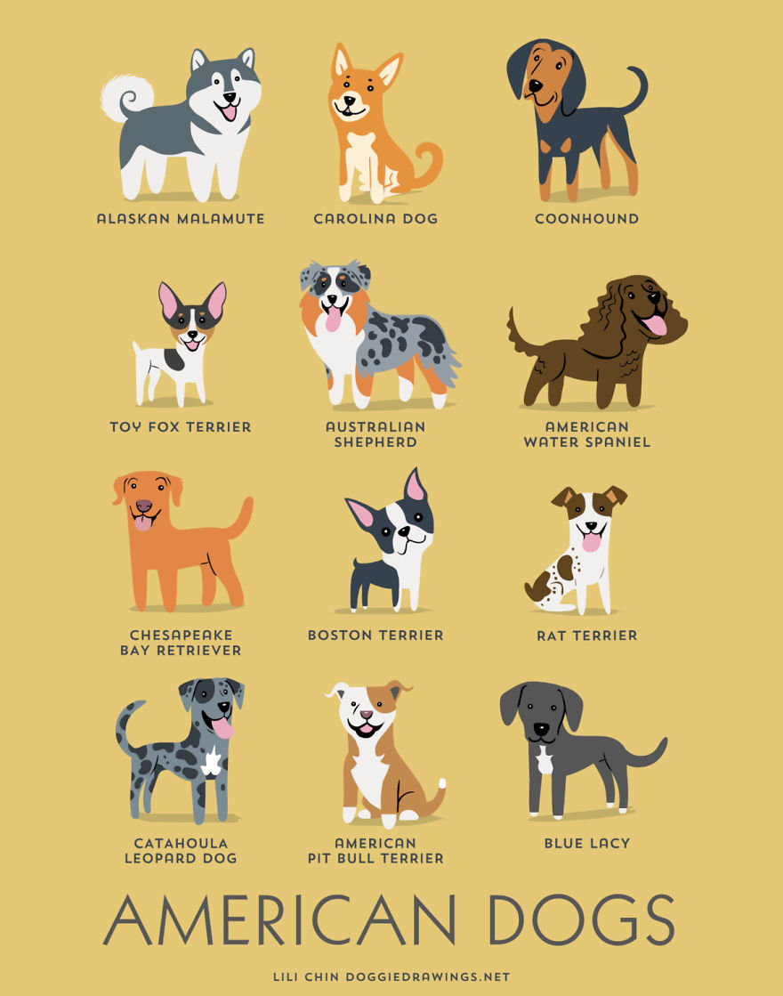 American Dogs