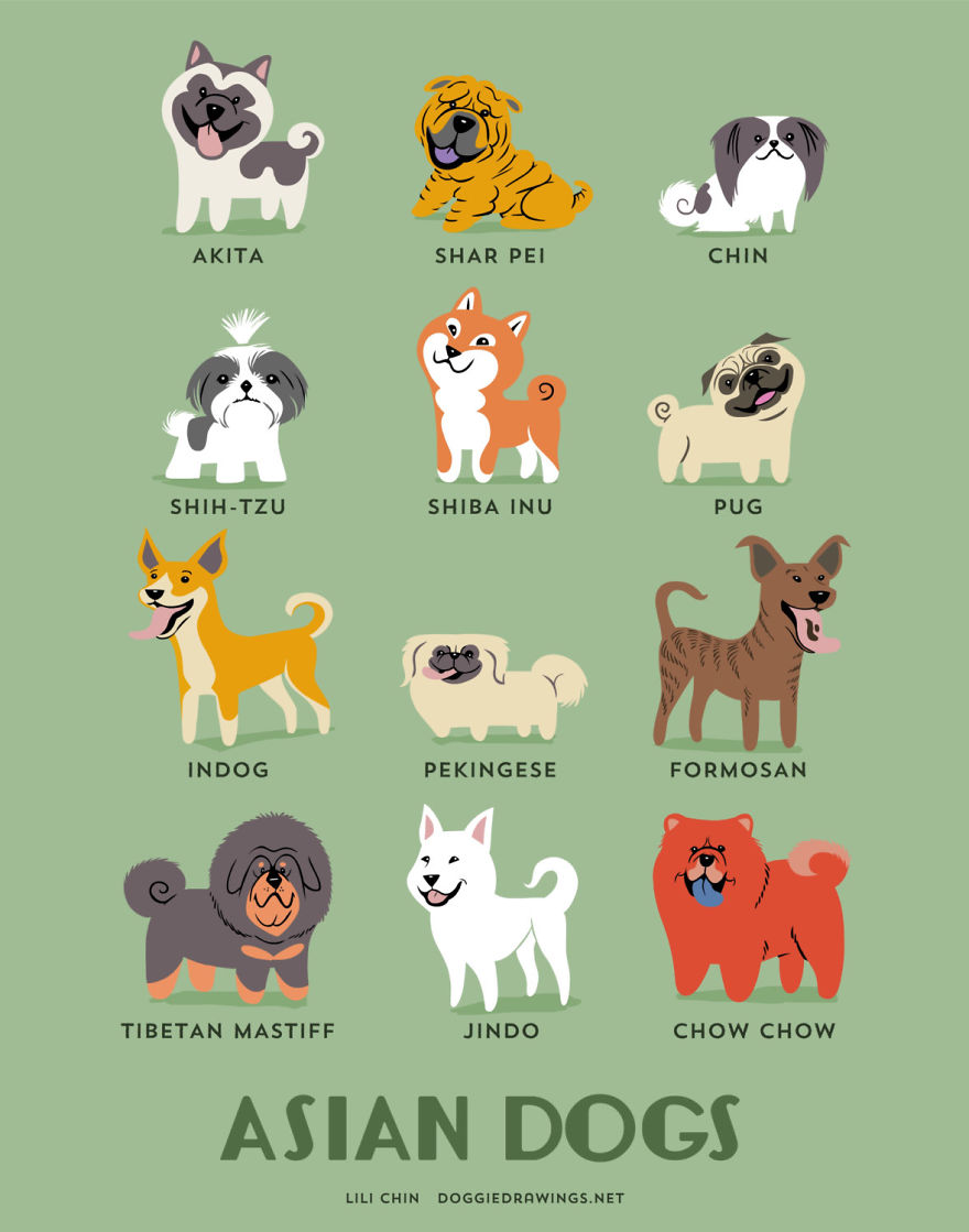 Asian Dogs